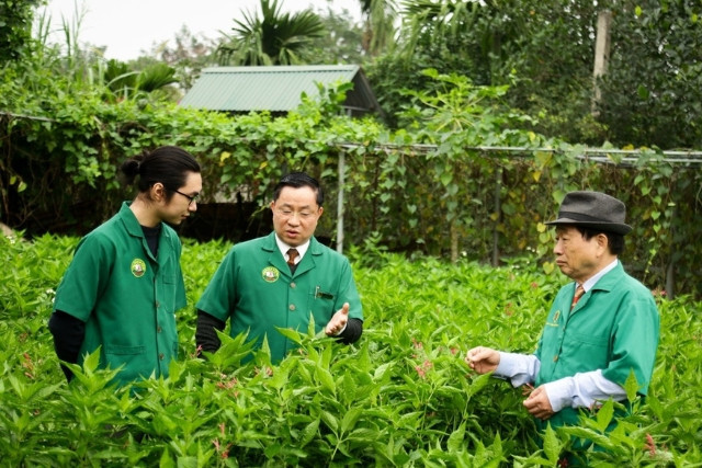 373 năm Thọ Xuân Đường: Hành trình gìn giữ tinh hoa Nam y qua nhiều thế hệ