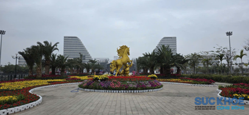 Thành phố Cảng rực rỡ sắc xuân, hướng tới ngày hội non sông