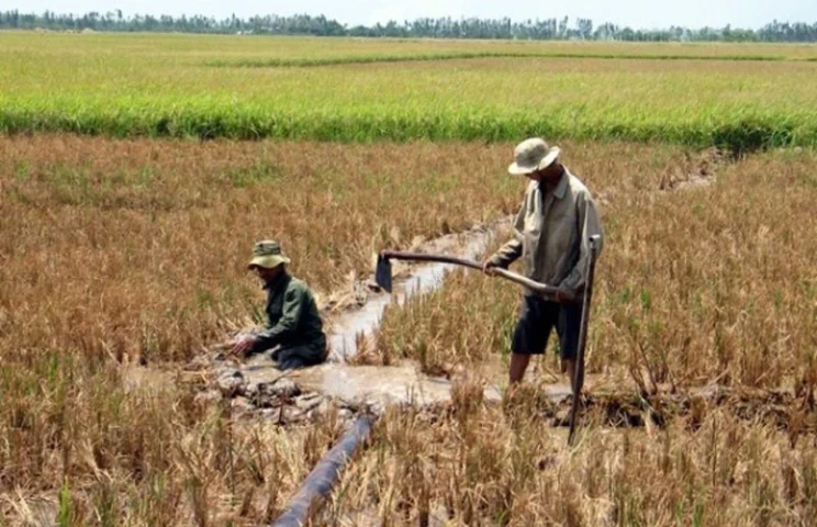 Yêu cầu chủ động ứng phó xâm nhập mặn ở ĐBSCL và hạn hán ở Nam Trung Bộ, Đông Nam Bộ
