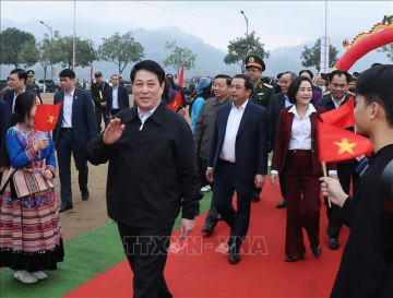 Chủ tịch nước dự lễ phát động Tết trồng cây năm 2026