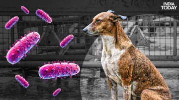 Xếp hạng: 10 loại virus nguy hiểm nhất thế giới theo tỷ lệ tử vong