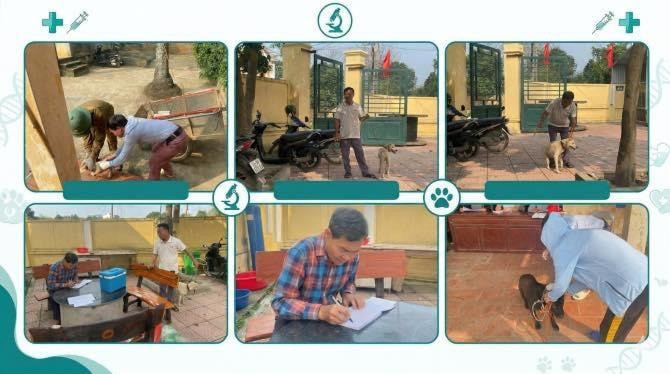 Hà Nội khẩn trương xử lý 2 ổ dịch bệnh dại tại xã Hòa Lạc và xã Hạ Bằng