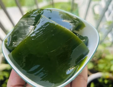 Sương sâm kỵ với gì?