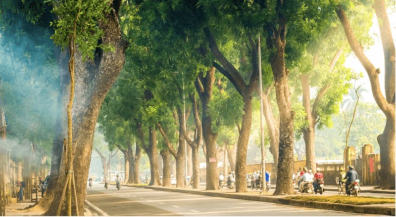 Dự báo thời tiết ngày 13/3: Bắc Bộ nắng ráo trở lại, Nam Bộ nắng nóng