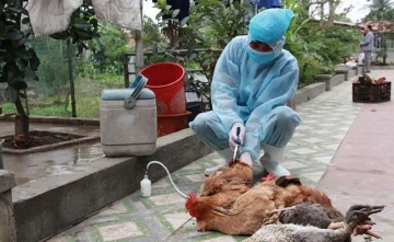 Thanh Hóa: Triển khai giải pháp tối ưu phòng, chống dịch bệnh trong chăn nuôi