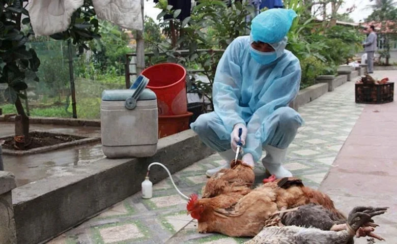 Thanh Hóa: Triển khai giải pháp tối ưu phòng, chống dịch bệnh trong chăn nuôi