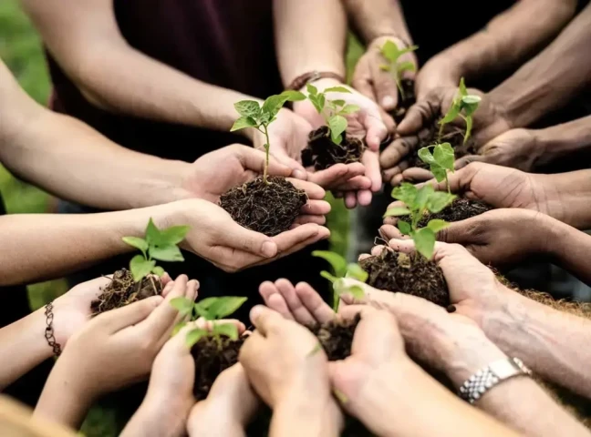 Từ nhận thức đến hành động: “Cú hích” mới cho bảo vệ môi trường