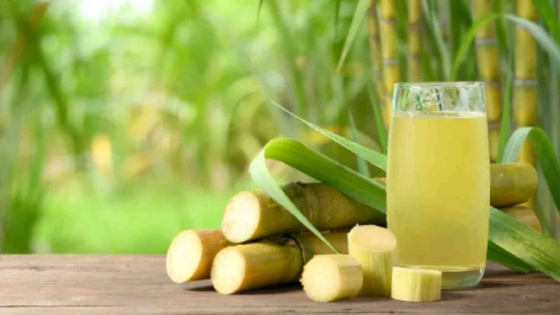 Nước mía có thật sự “bổ thận, dưỡng gan” như lời đồn?