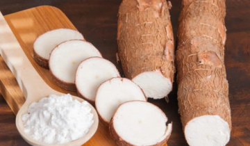 Ăn củ sắn dễ bị say, nguyên nhân do đâu?