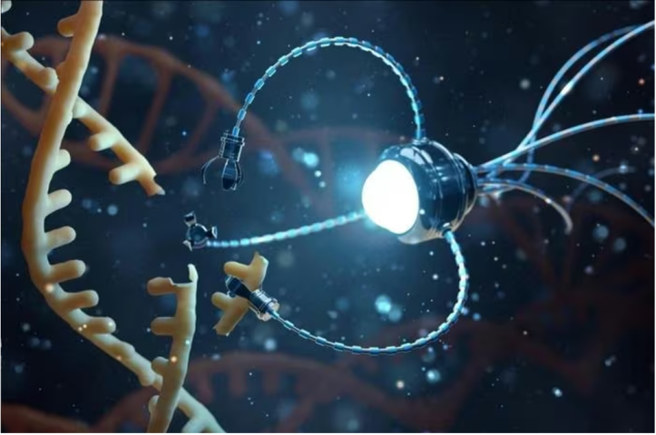 Robot DNA siêu nhỏ: “Điệp viên” truy lùng virus, đưa thuốc chính xác trong cơ thể