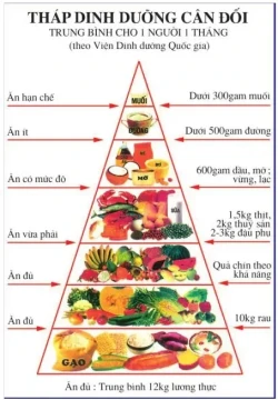 Hiểu đúng về “tháp dinh dưỡng”: Ăn đủ chất đơn giản hơn bạn nghĩ