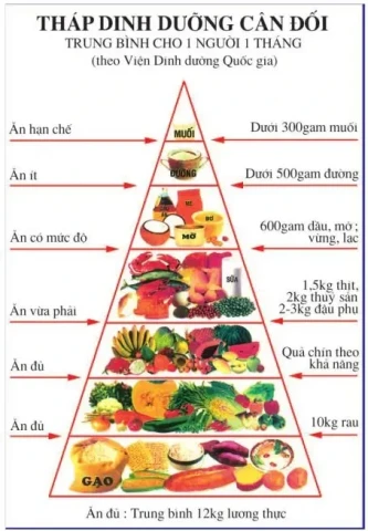 Hiểu đúng về “tháp dinh dưỡng”: Ăn đủ chất đơn giản hơn bạn nghĩ