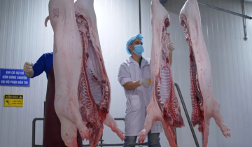 TP. Hồ Chí Minh: Tăng cường kiểm dịch, kiểm soát giết mổ động vật