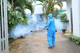 Sốt xuất huyết gia tăng, nhiều người vẫn hiểu sai cách phòng bệnh