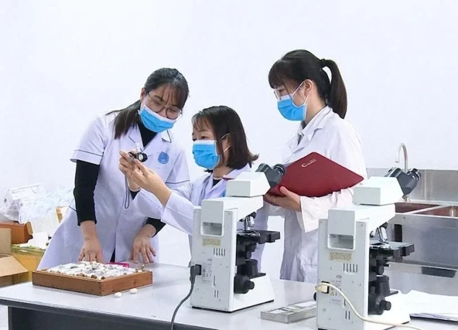 Thanh Hóa siết chặt giám sát, ngăn chặn sốt rét xâm nhập trở lại