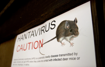 3 ca tử vong liên quan hantavirus: Căn bệnh nguy hiểm thế nào?