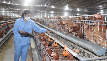Bộ Y tế: Tăng kiểm soát chuỗi thực phẩm từ nơi sản xuất tới người dùng
