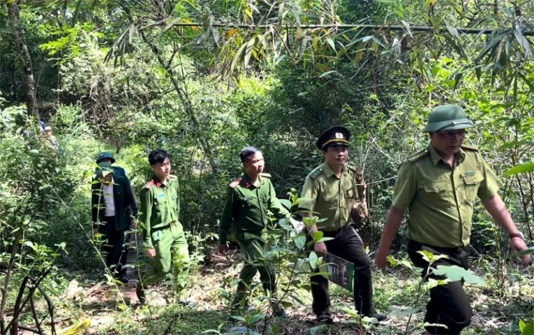 Thanh Hóa: Tăng cường bảo vệ rừng, phòng cháy chữa cháy trên tuyến biên giới