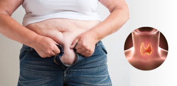 Vì sao ăn ít vẫn tăng cân?