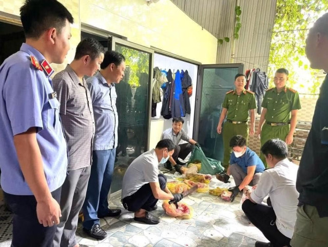 Hà Tĩnh: Triệt phá đường dây tuồn hàng tấn lợn bệnh, lợn chết ra thị trường