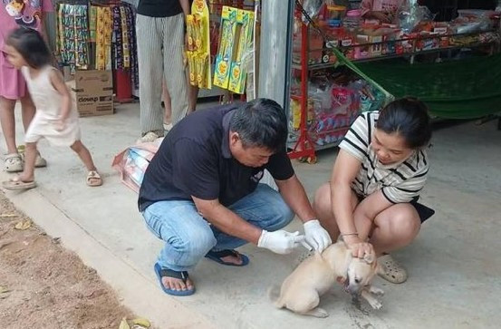 Nghệ An: Xuất hiện ổ dịch trên chó, tăng cường giám sát, phòng chống bệnh dại