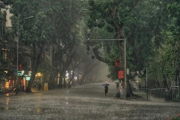 Thời tiết 9/6: Bắc Bộ đón mưa lớn, trời chuyển mát