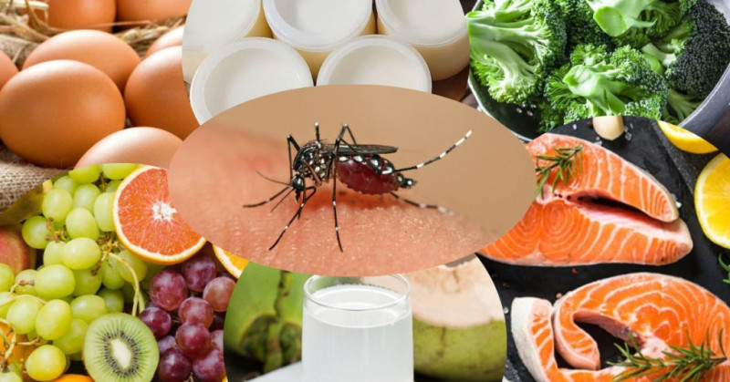 Bị sốt xuất huyết nên ăn gì để hồi phục nhanh?