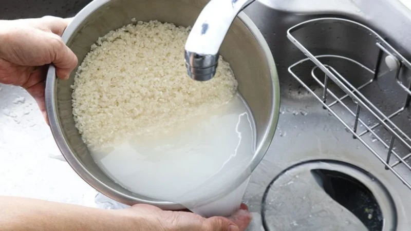 Vo gạo thế nào để giảm asen, vi nhựa mà vẫn giữ dinh dưỡng?