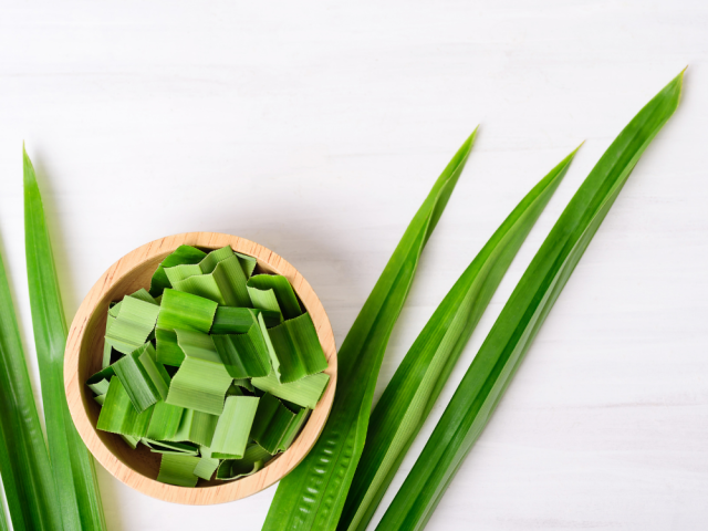 Lá dứa - thảo dược quen thuộc với nhiều lợi ích cho sức khỏe