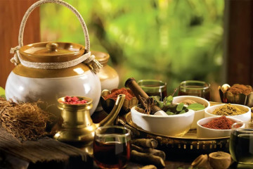 Thúc đẩy phát triển ngành Y học cổ truyền Việt Nam trong giai đoạn mới
