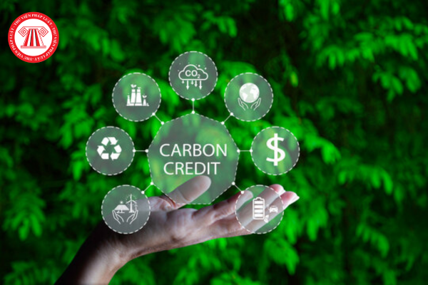 Những chuyển biến đầu tiên sau gần một tháng Việt Nam chính thức vận hành sàn giao dịch cacrbon